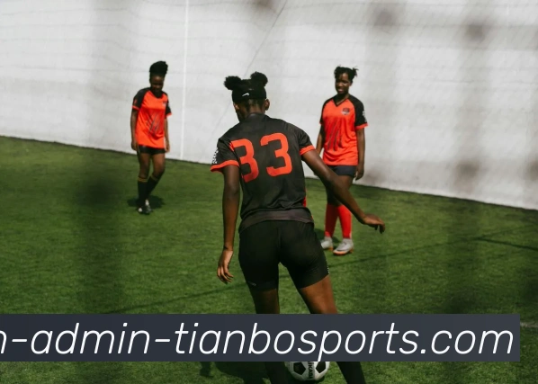 天博综合体育平台生态图